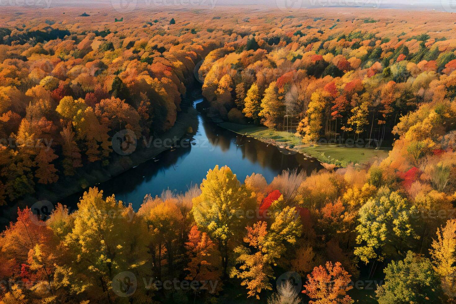 Foto von das Herbst Wald Drohne Aussicht