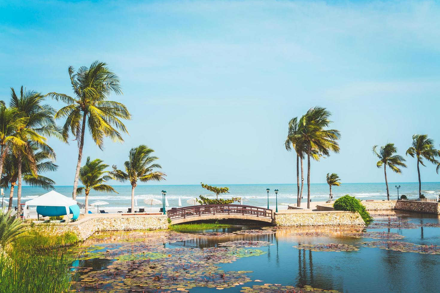 Brücke mit Kokospalme und Meeresstrand und blauem Himmelshintergrund foto