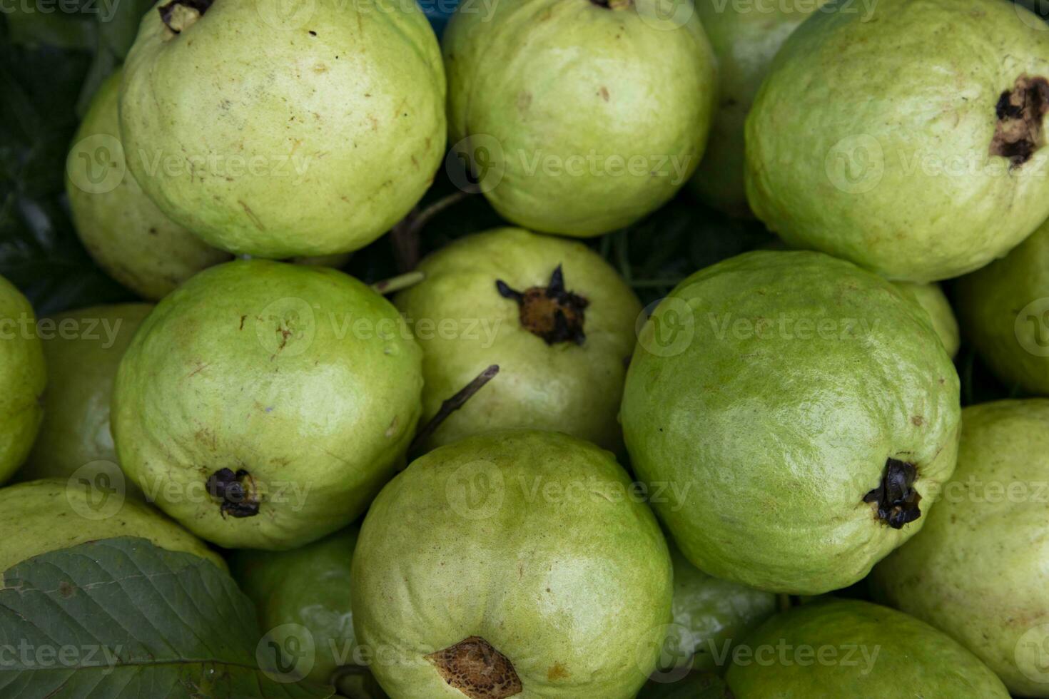 frisch Grün Guave Früchte angezeigt zum Verkauf im das Markt von Bangladesch foto