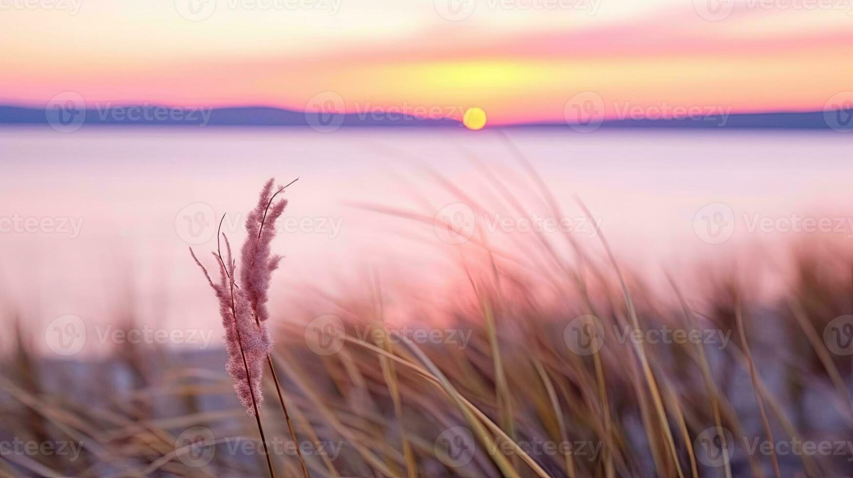 Blumen Fokus Sonnenuntergang Ruhe Anmut Landschaft Zen Harmonie Ruhe Einheit Harmonie Fotografie foto