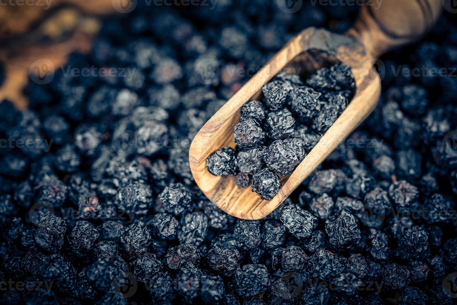 Schwarze Vogelbeere Aronia Aronia foto