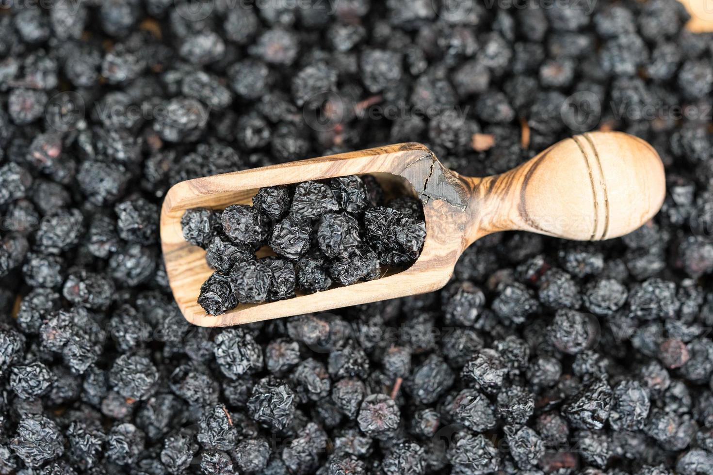 Schwarze Vogelbeere Aronia Aronia foto