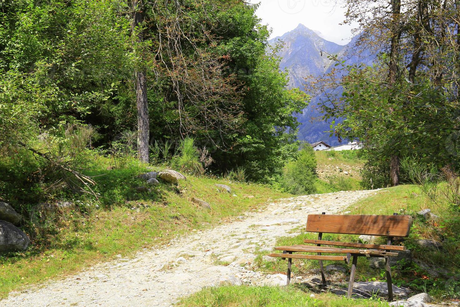 Landschaft mit Bäumen und Bergen foto