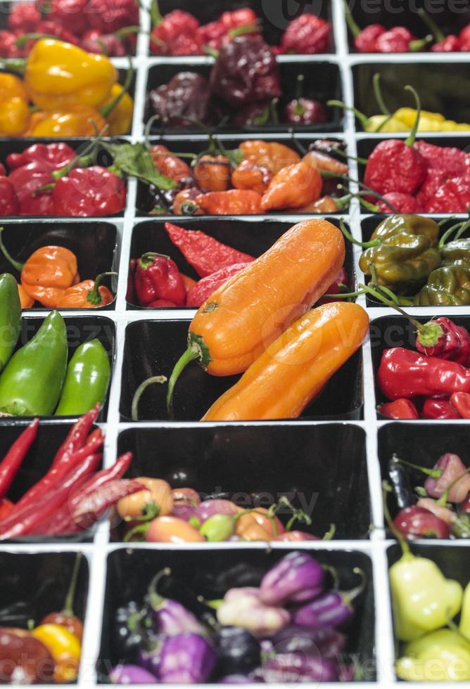 scharfe Chilischoten in verschiedenen Farben, auf dem Markt verkauft foto