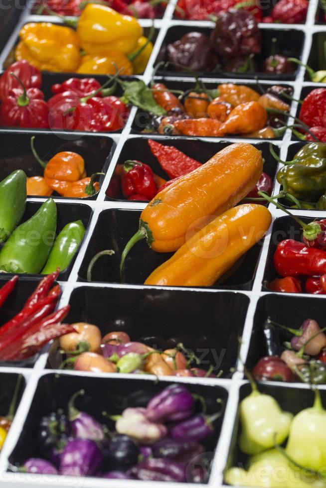 scharfe Chilischoten in verschiedenen Farben, auf dem Markt verkauft foto