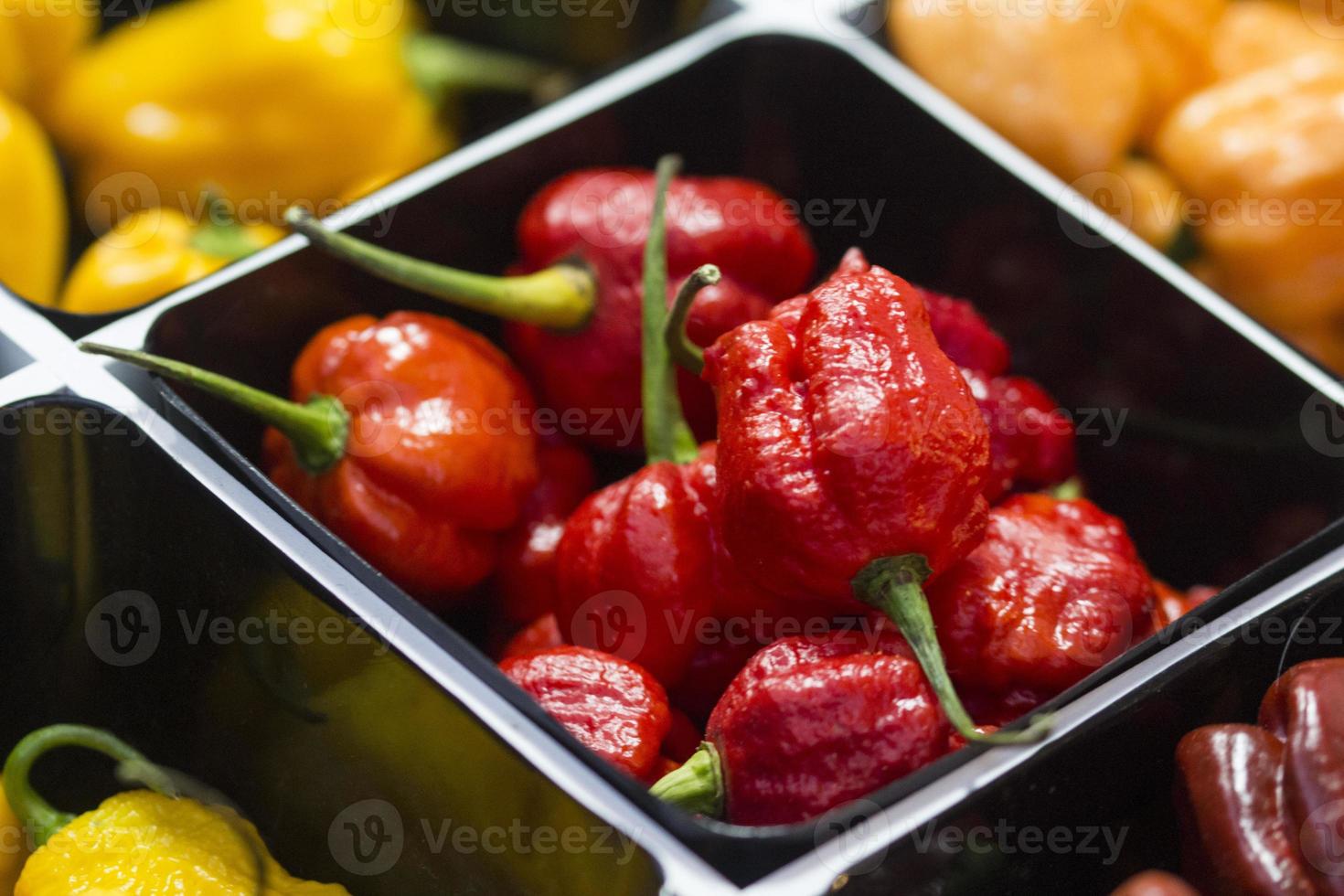 scharfe Chilischoten in verschiedenen Farben, auf dem Markt verkauft foto