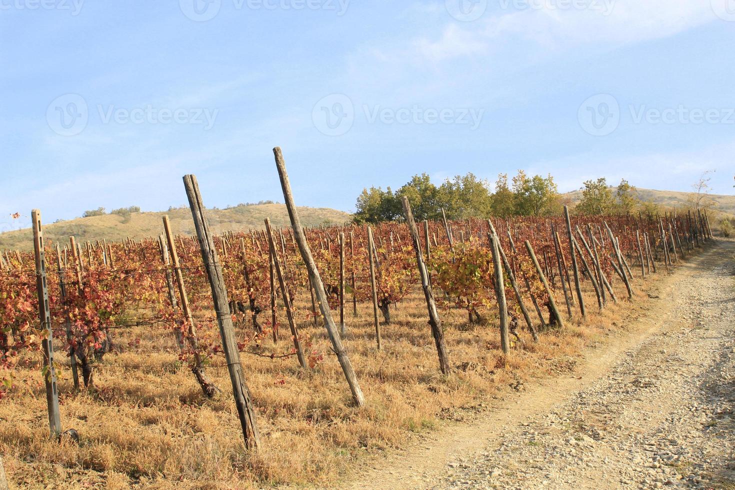 Weinberge und Landschaft des piemontesischen Hinterlandes, Italien foto