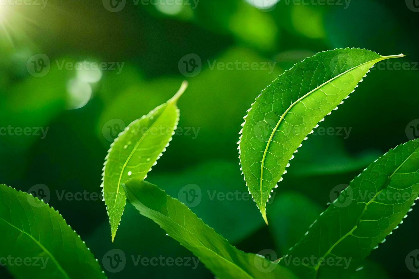 Grün Tee Blätter im Sonnenlicht. KI-generiert foto