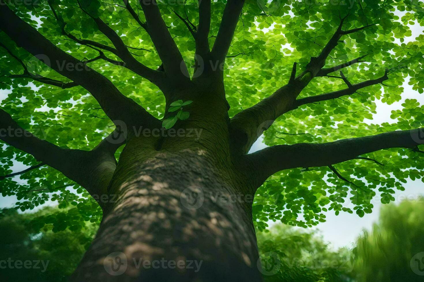 ein Baum ist gesehen von unten mit Grün Blätter. KI-generiert foto