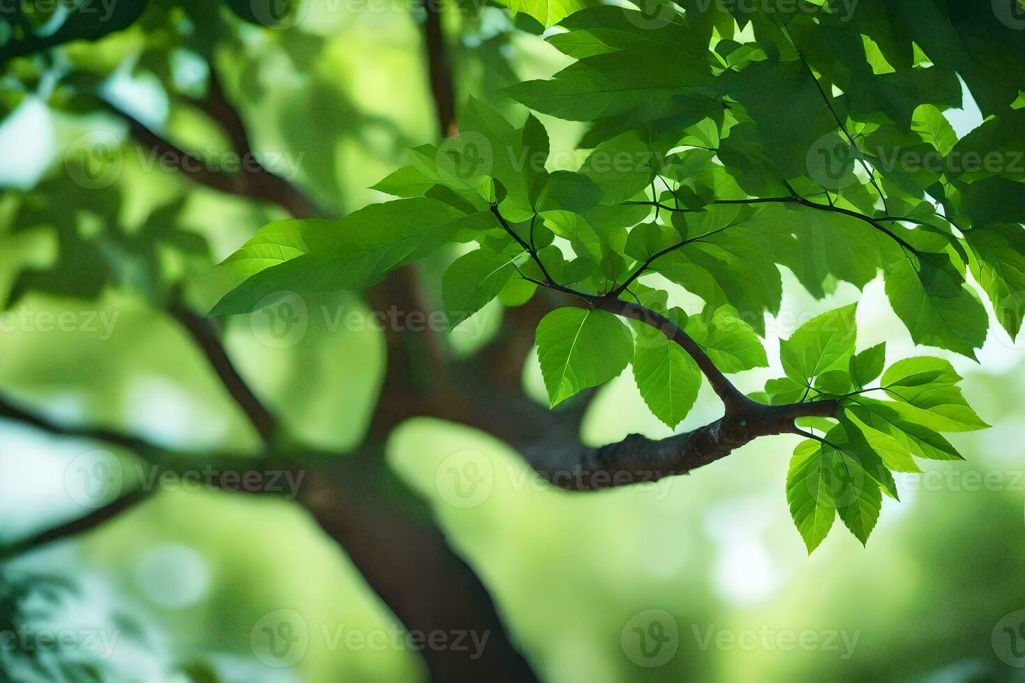 ein Baum Ast mit Grün Blätter. KI-generiert foto