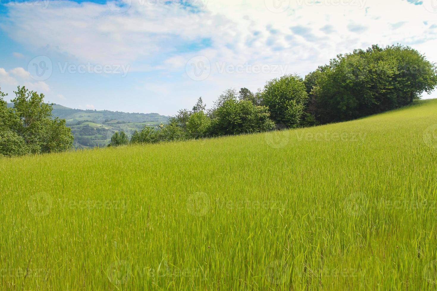 Naturlandschaft mit schönen grünen Hügeln foto
