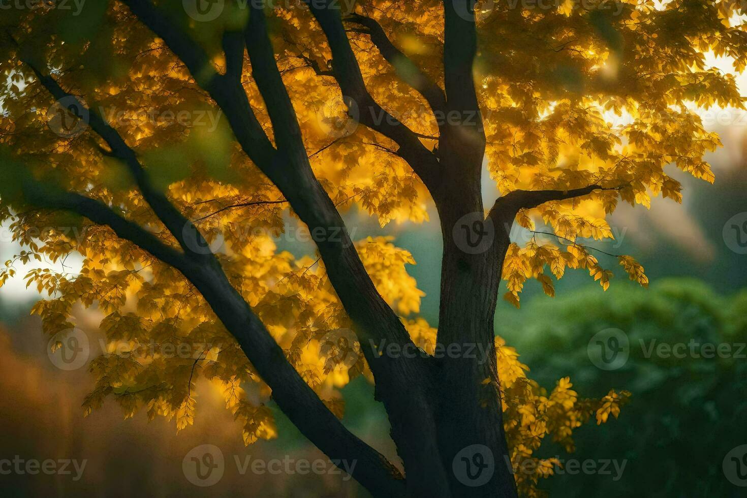 ein Baum mit Gelb Blätter im das Sonne. KI-generiert foto