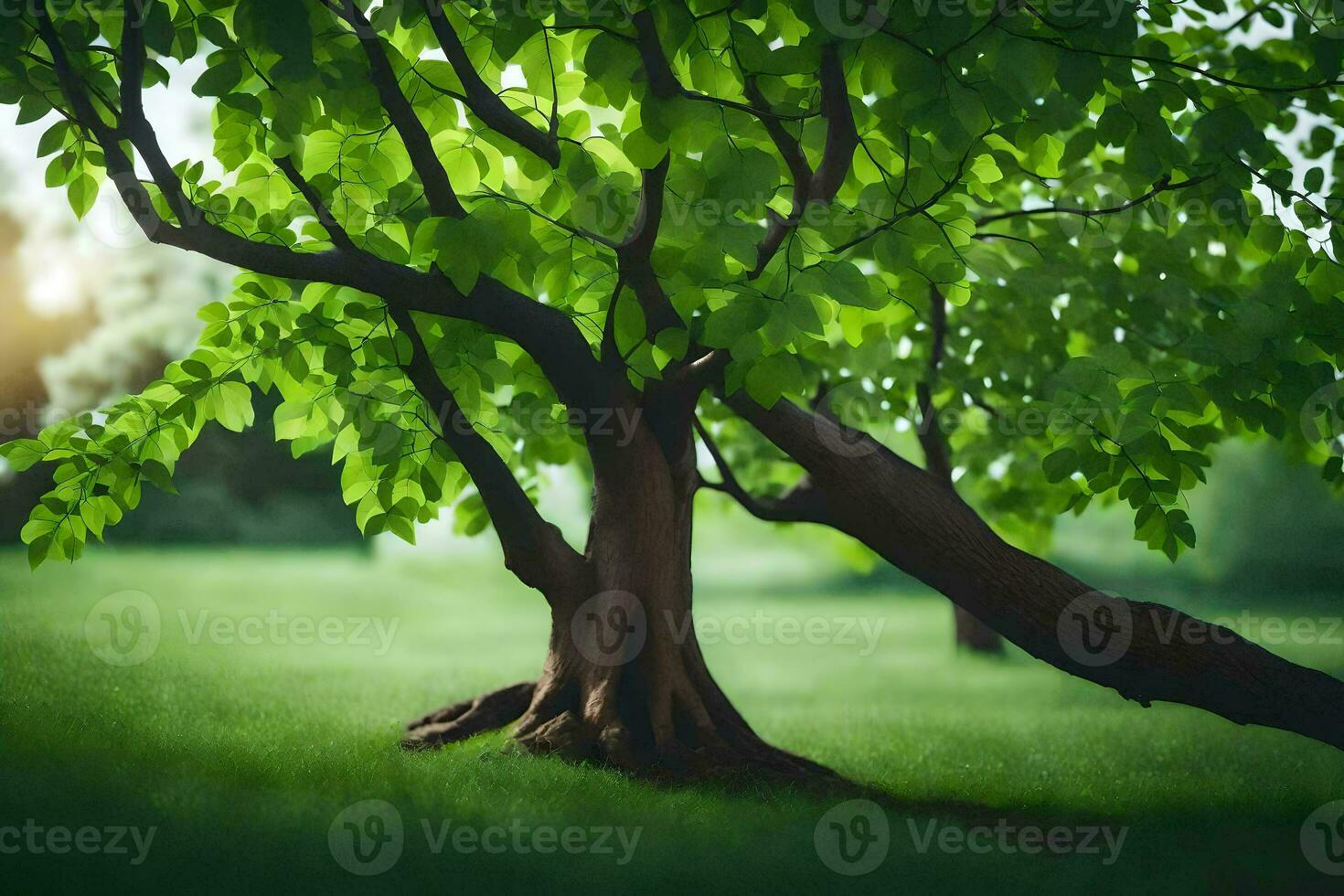 ein Baum im das Gras mit Sonnenlicht leuchtenden durch das Blätter. KI-generiert foto