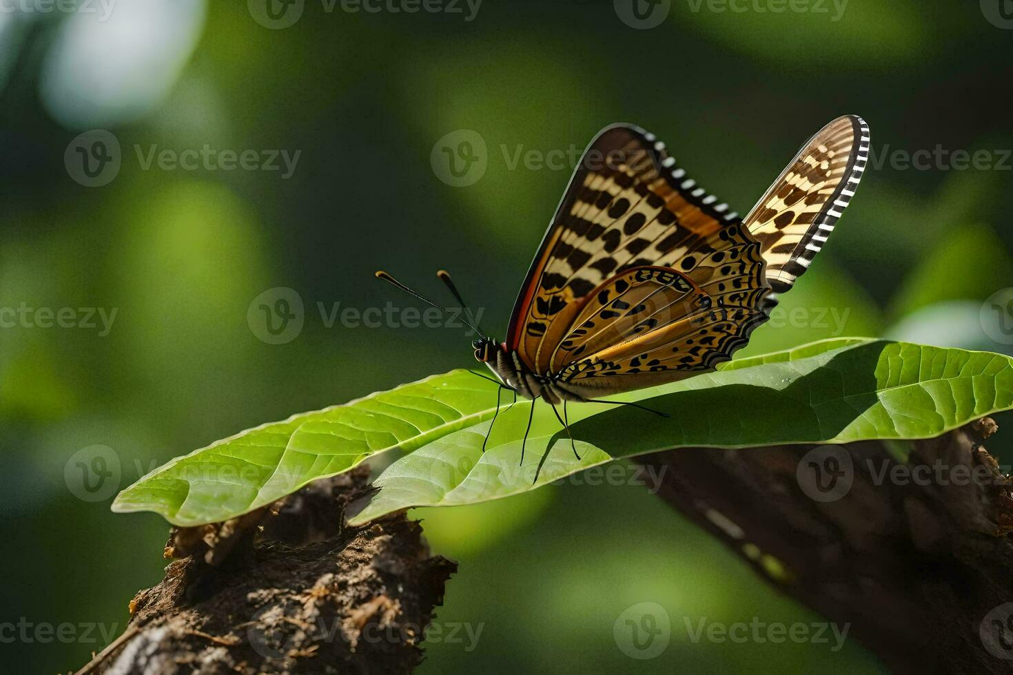 ein Schmetterling ist Sitzung auf ein Blatt im das Sonne. KI-generiert foto