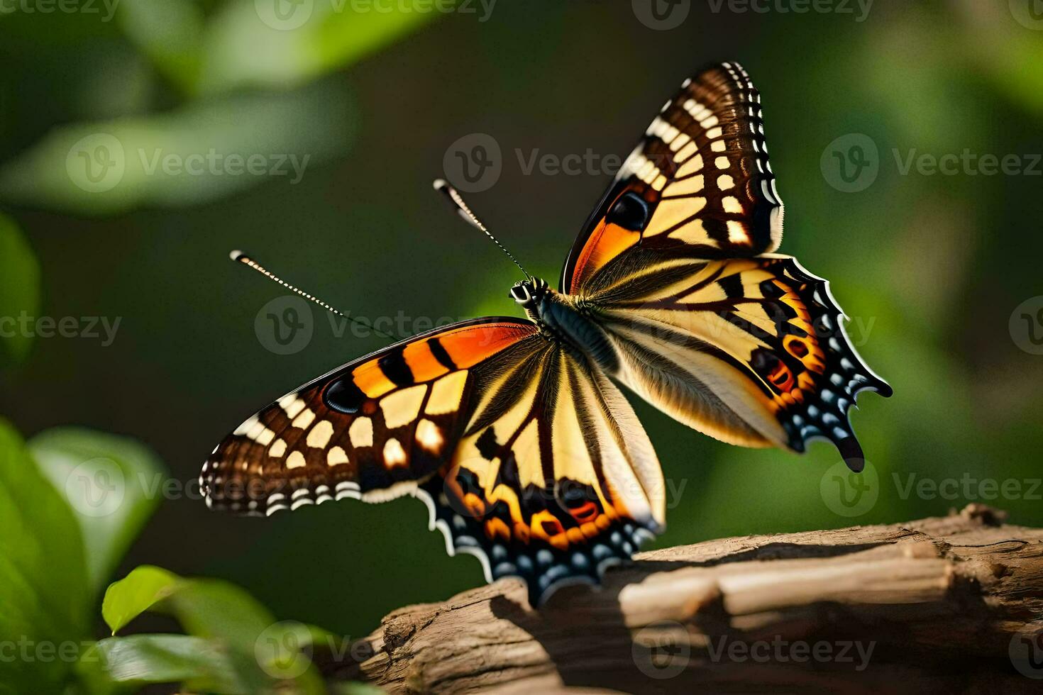 ein Schmetterling ist Sitzung auf ein Log im das Sonne. KI-generiert foto