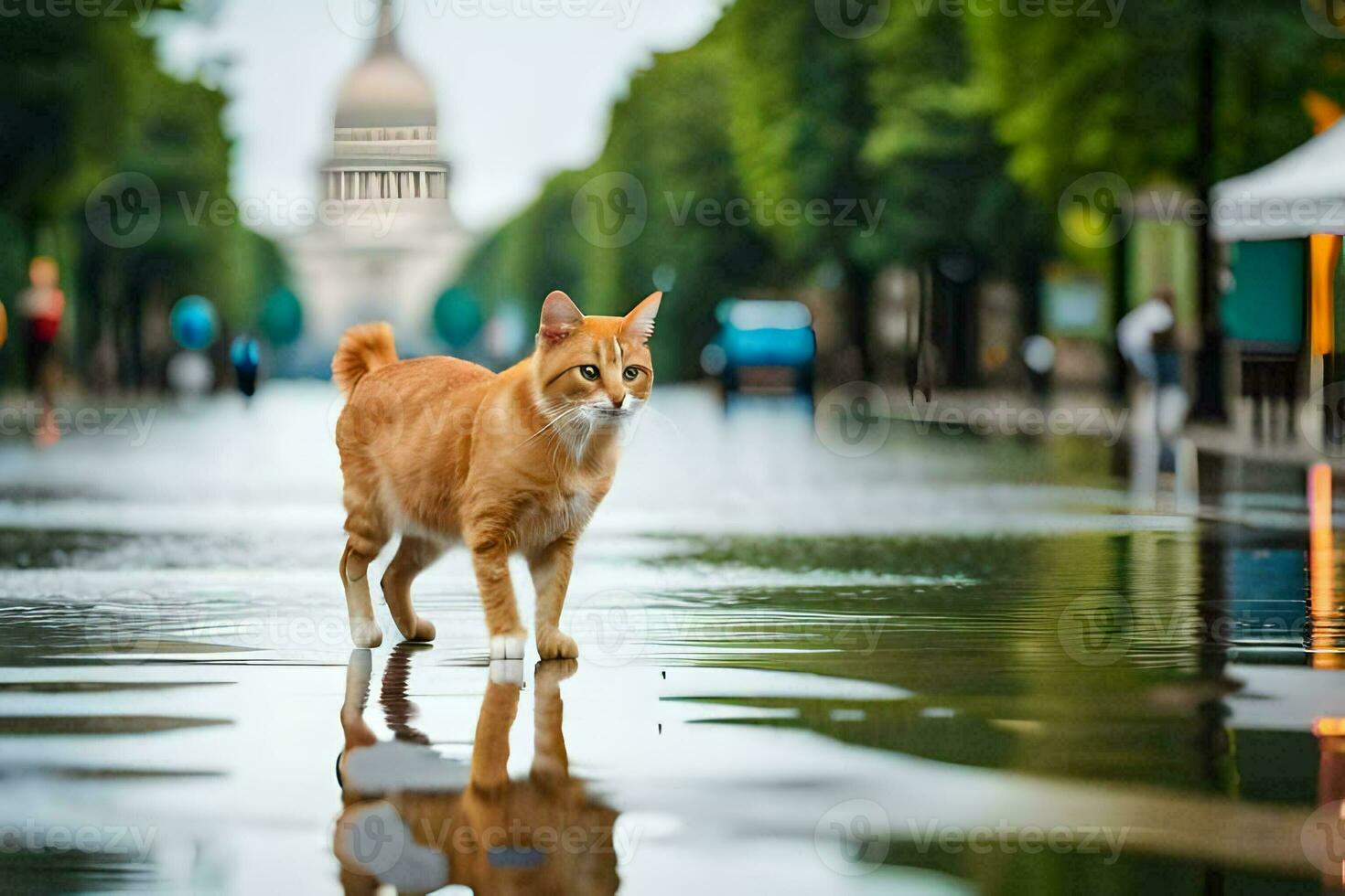 ein Katze Gehen über ein nass Straße mit ein Gebäude im das Hintergrund. KI-generiert foto