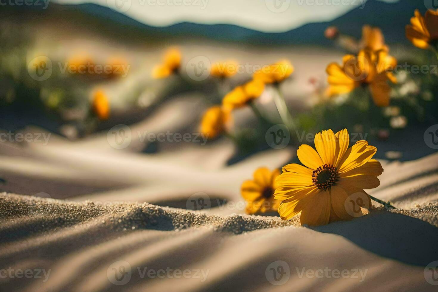 Gelb Blumen im das Sand. KI-generiert foto