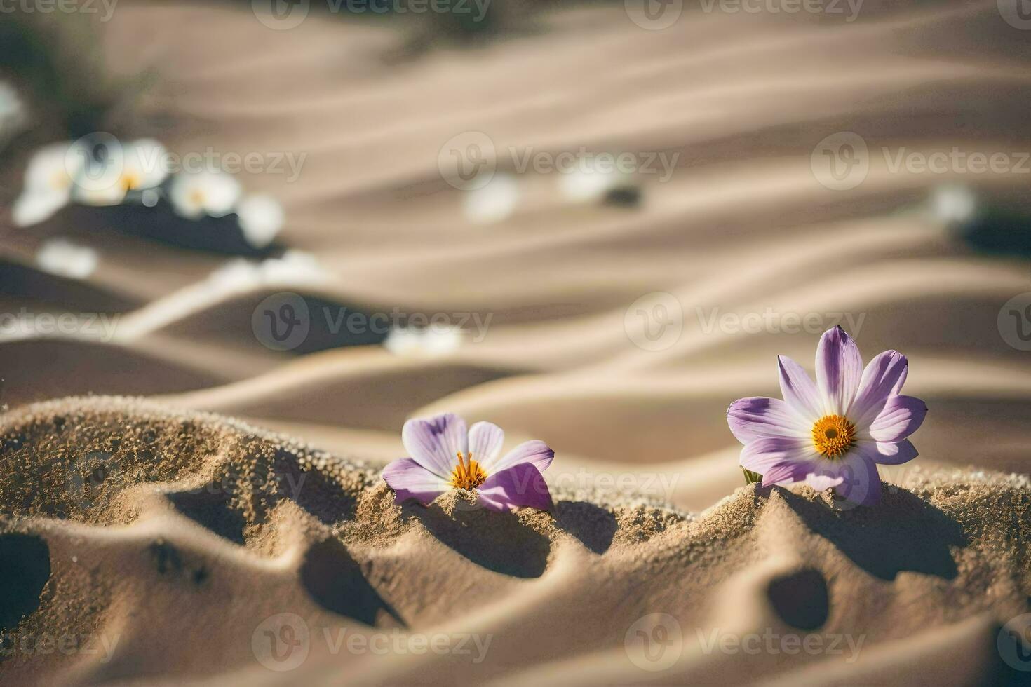 zwei lila Blumen wachsend aus von das Sand im das Wüste. KI-generiert foto