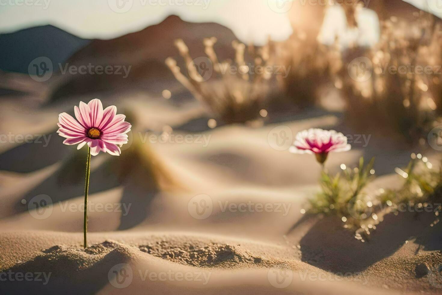 zwei Rosa Blumen im das Wüste mit das Sonne leuchtenden. KI-generiert foto
