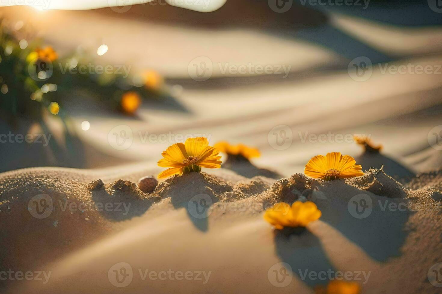 das Wüste Blumen sind wachsend im das Sand. KI-generiert foto