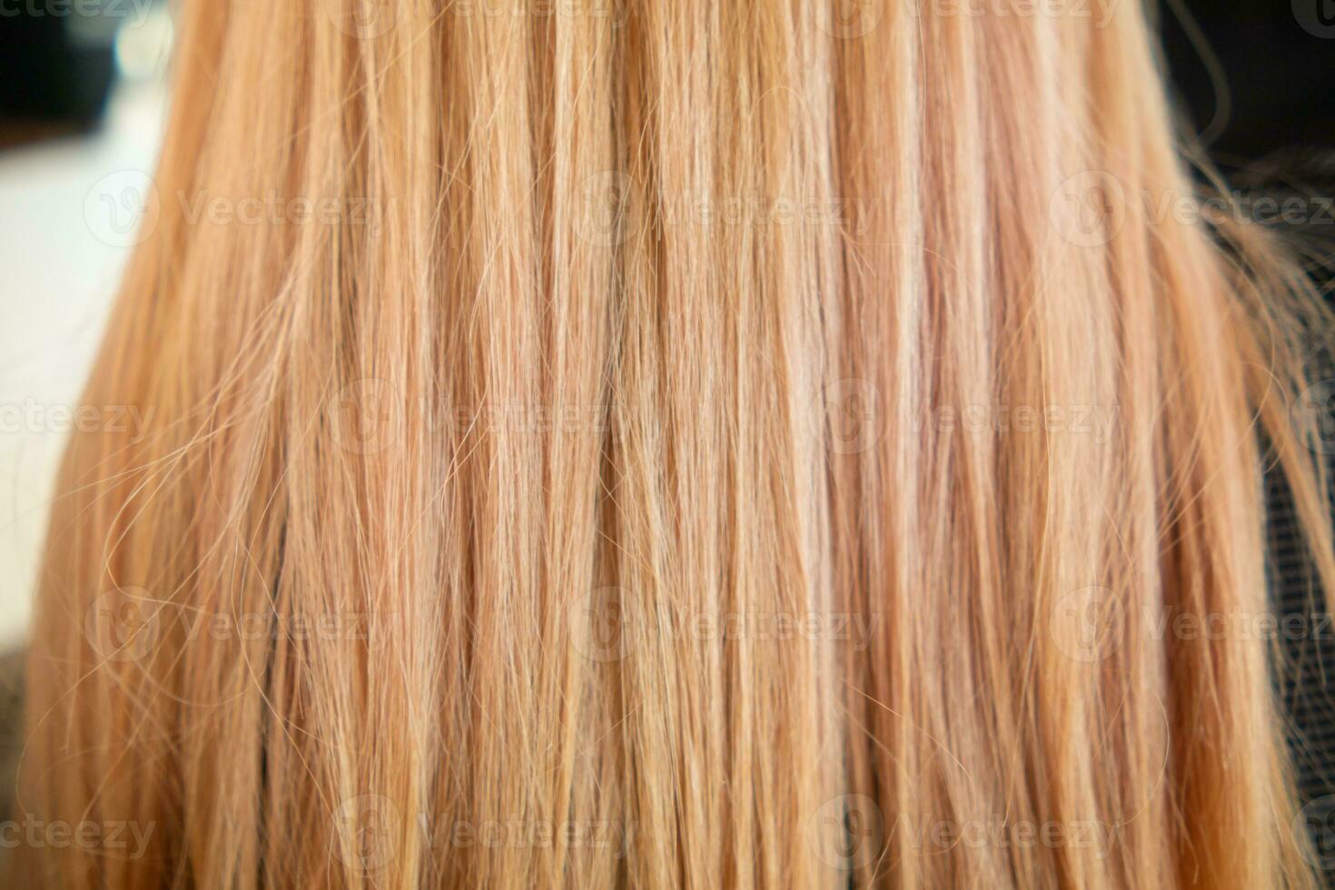 bunt Hintergrund von auf ein jung Frau Kopf nach haben ihr Haar geändert zu ein frisch Farbe durch ein Haar Salon. viele von Haar wie ein Schön, natürlich gefüttert Hintergrund mit Kopieren Raum zum Text. foto