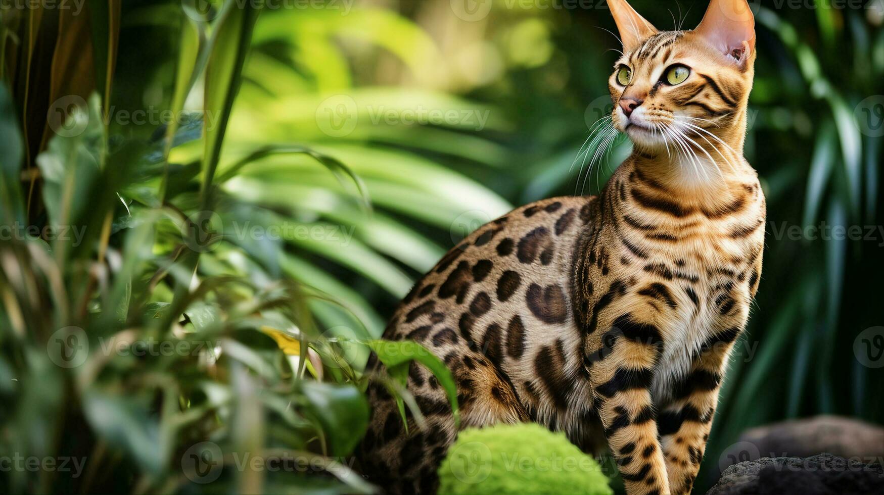 Bengalen Katze, es ist entdeckt Pelz erinnernd von ein wild Leopard, steht warnen im ein üppig Garten. generativ ai foto