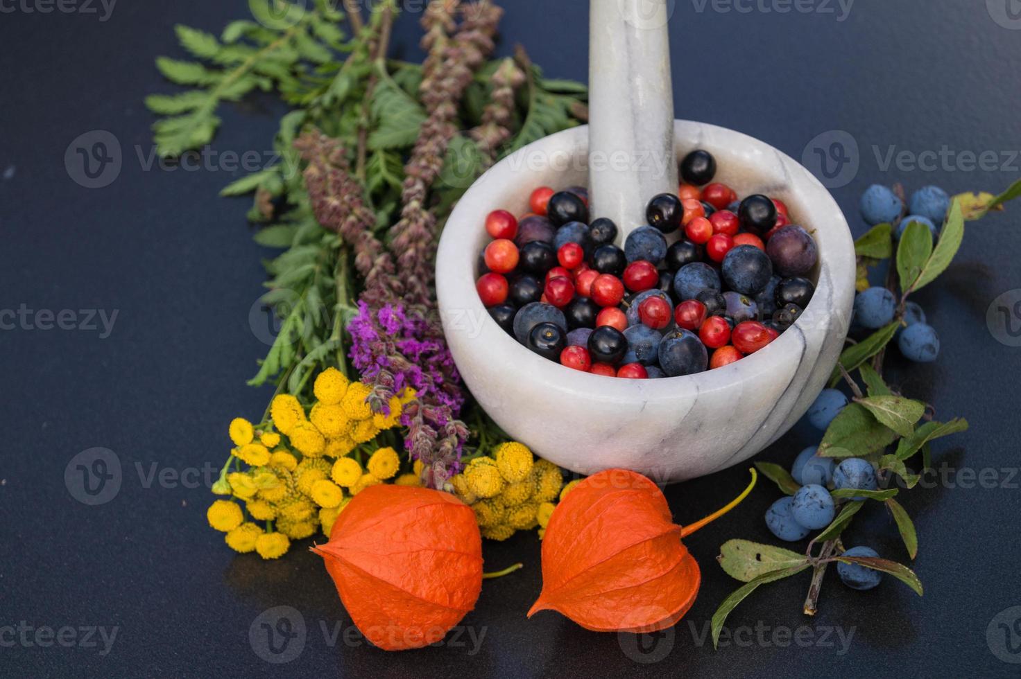 Alternativmedizin mit pharmazeutischen Kräutern Früchten und Beeren foto
