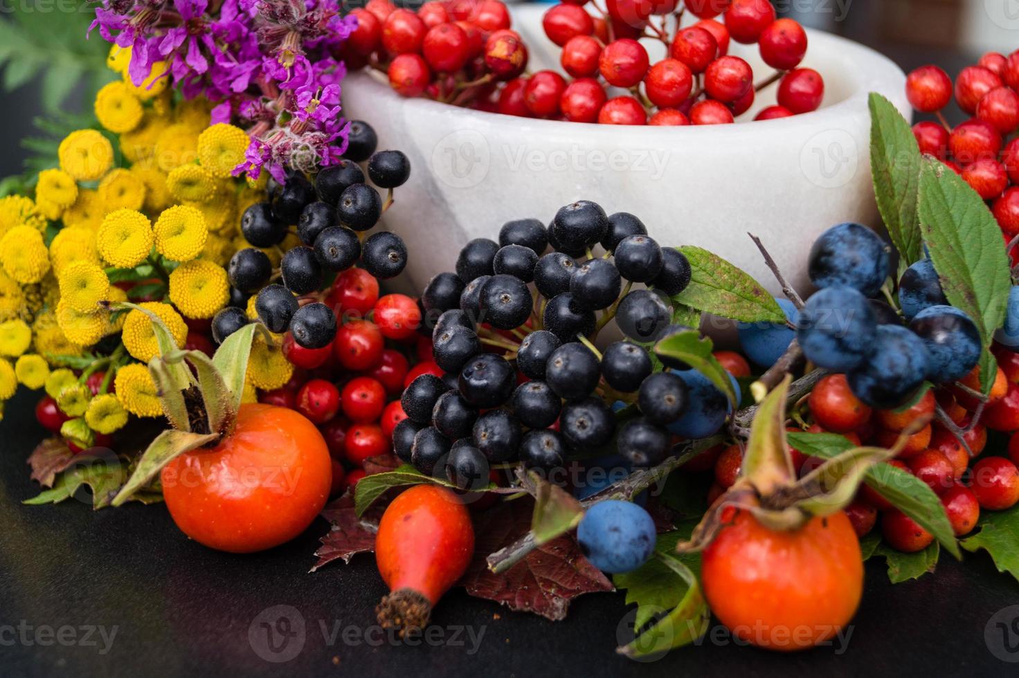 Alternativmedizin mit pharmazeutischen Kräutern Früchten und Beeren foto