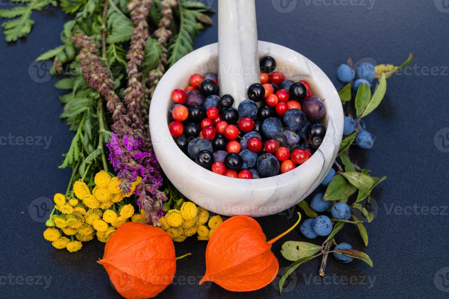 Alternativmedizin mit pharmazeutischen Kräutern Früchten und Beeren foto