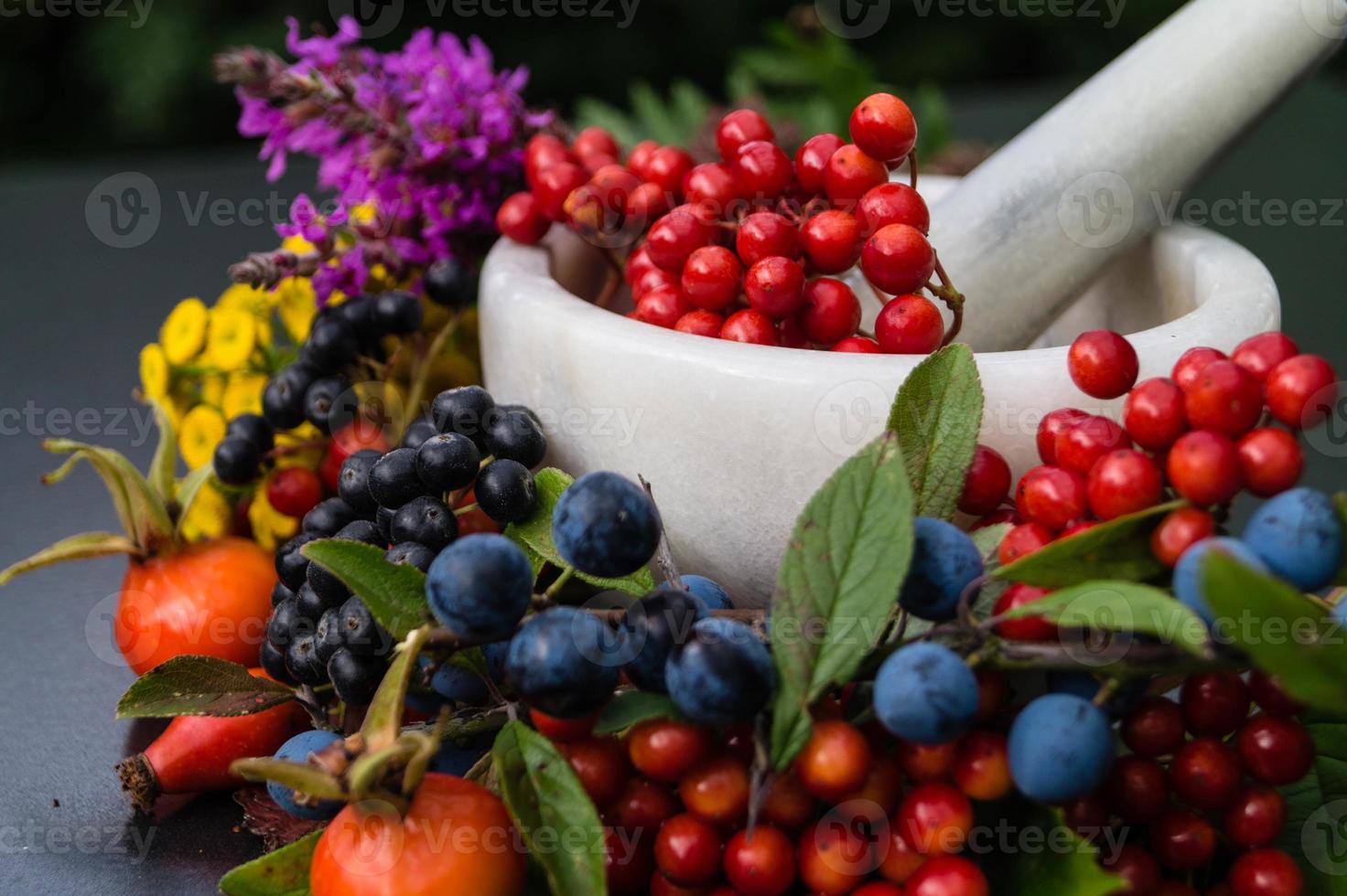 Alternativmedizin mit pharmazeutischen Kräutern Früchten und Beeren foto