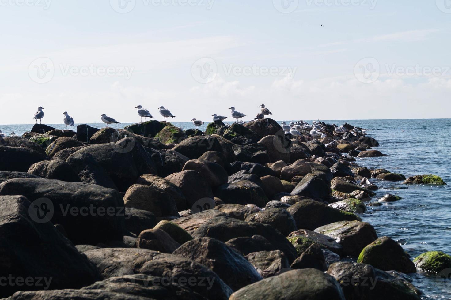 am strand von blavand ho dänemark foto