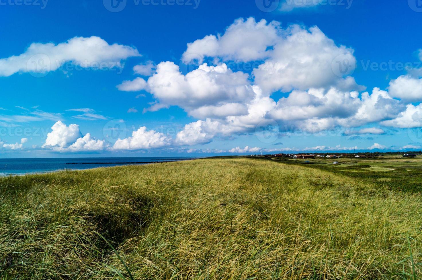 der leuchtturm blavandshuk fyr an der westküste von dänemark foto