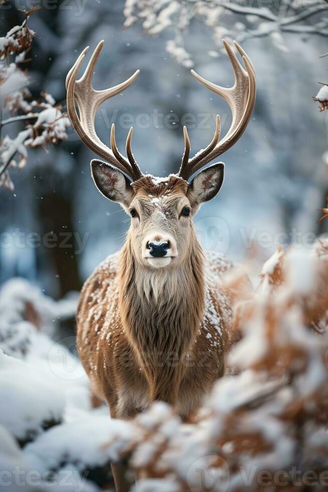 Hirsch auf Schnee Natur Hintergrund, ai generiert foto