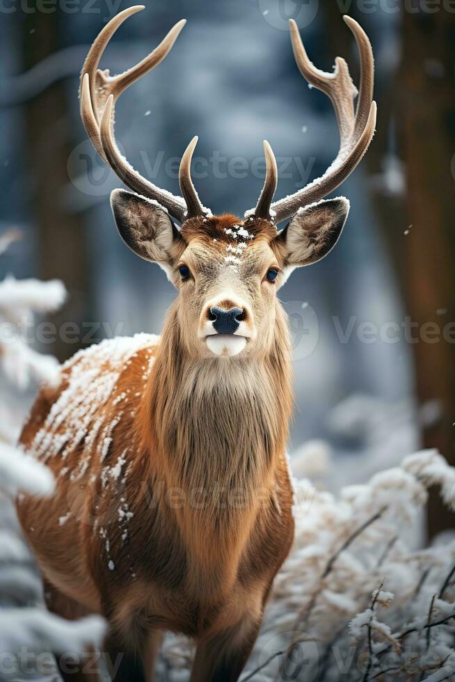 Hirsch auf Schnee Natur Hintergrund, ai generiert foto