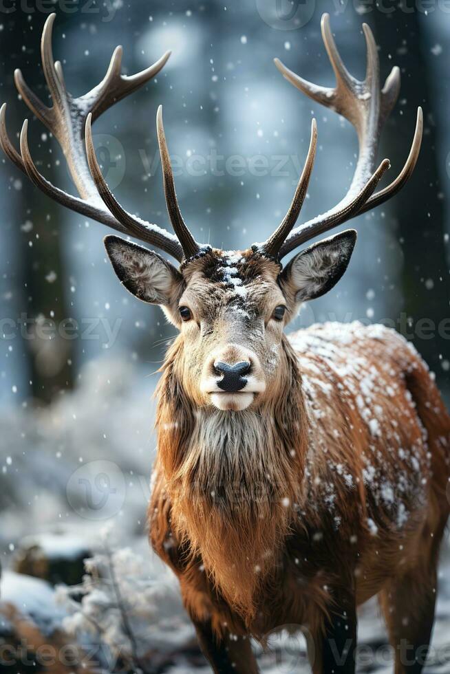 Hirsch auf Schnee Natur Hintergrund, ai generiert foto