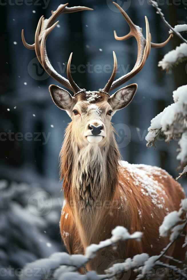 Hirsch auf Schnee Natur Hintergrund, ai generiert foto