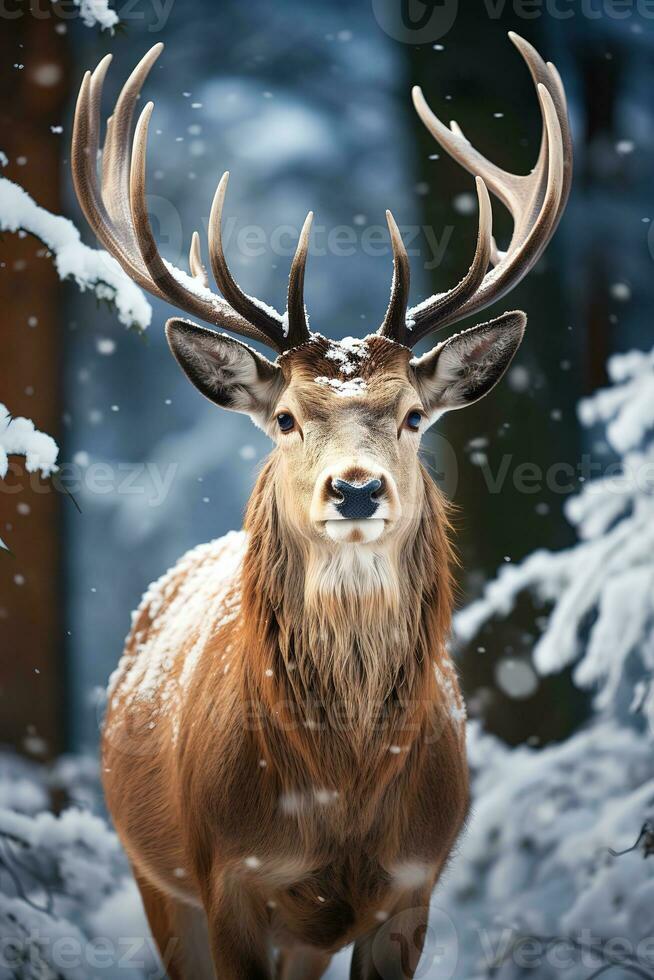 Hirsch auf Schnee Natur Hintergrund, ai generiert foto