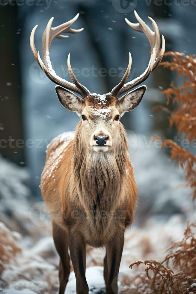 Hirsch auf Schnee Natur Hintergrund, ai generiert foto