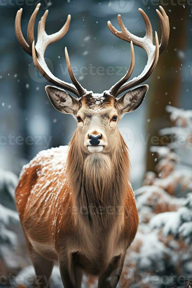 Hirsch auf Schnee Natur Hintergrund, ai generiert foto