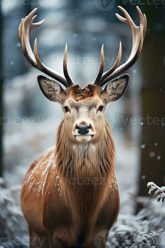 Hirsch auf Schnee Natur Hintergrund, ai generiert foto