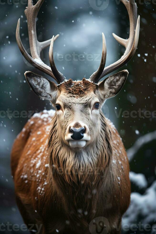 Hirsch auf Schnee Natur Hintergrund, ai generiert foto