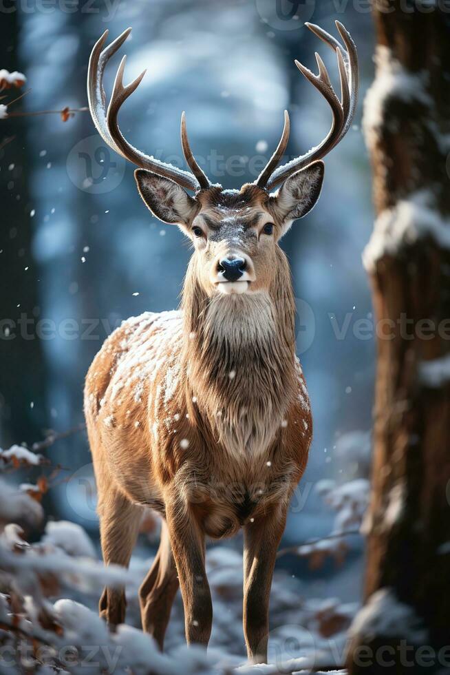 Hirsch auf Schnee Natur Hintergrund, ai generiert foto