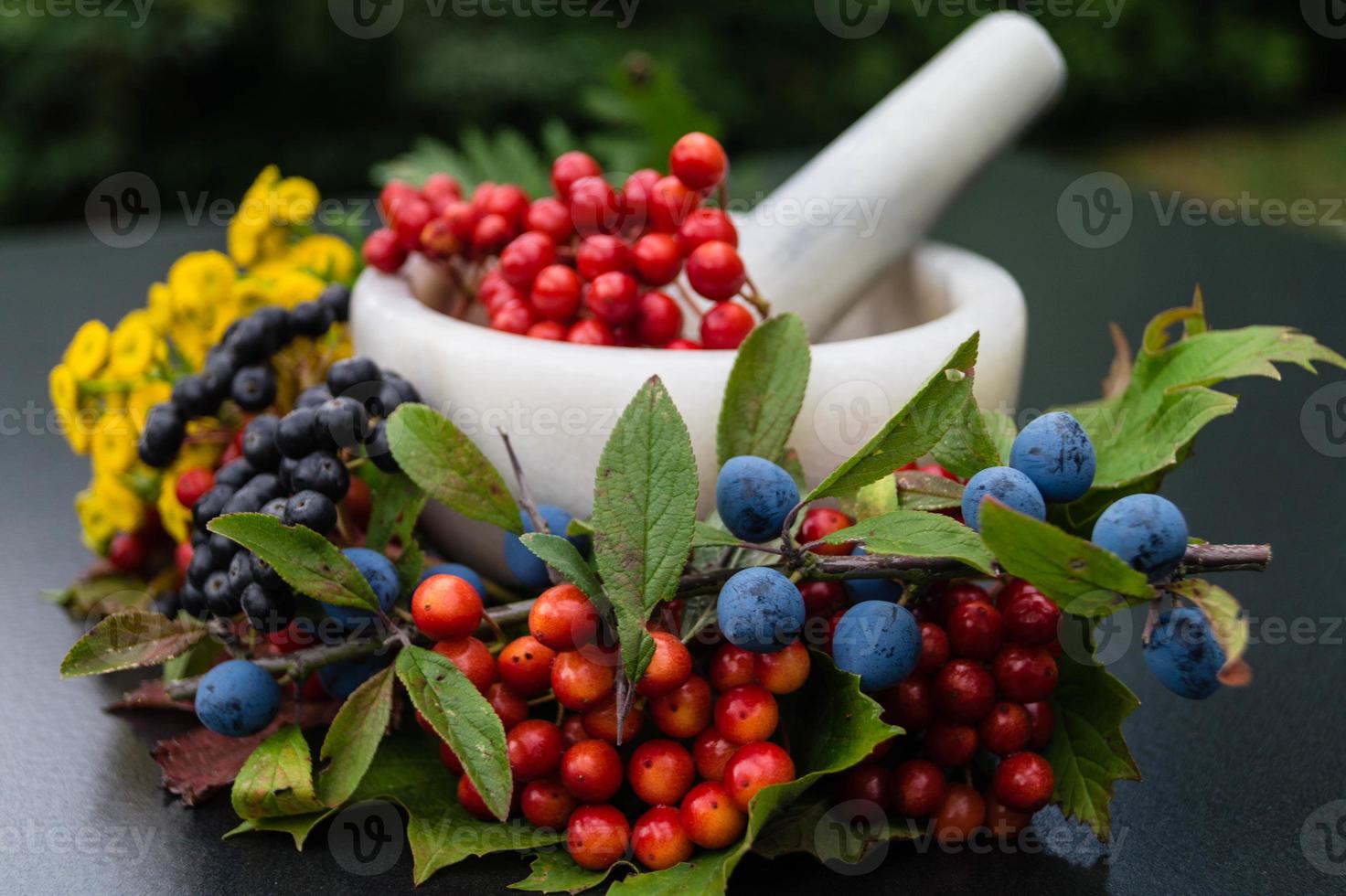 verschiedene Früchte und Beeren als Herbstdekoration foto