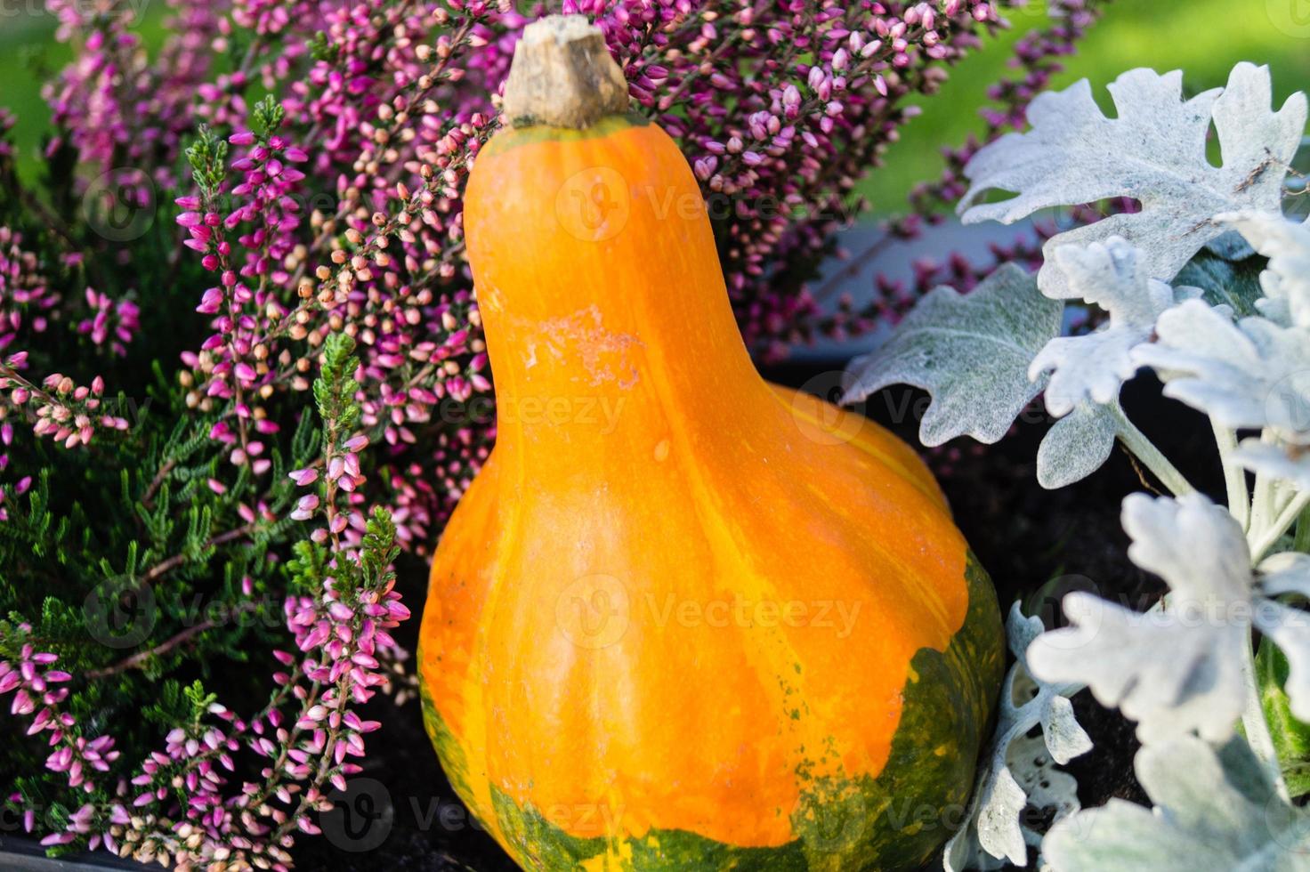 jährliche Herbstdekoration foto