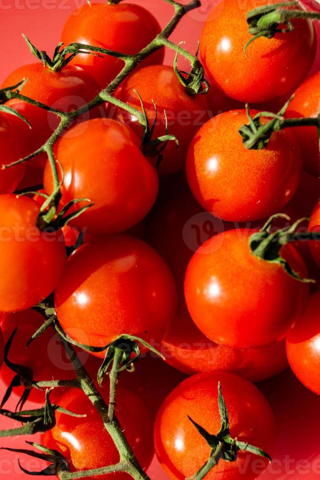 rote runde Tomaten Solanum lycopersicum foto