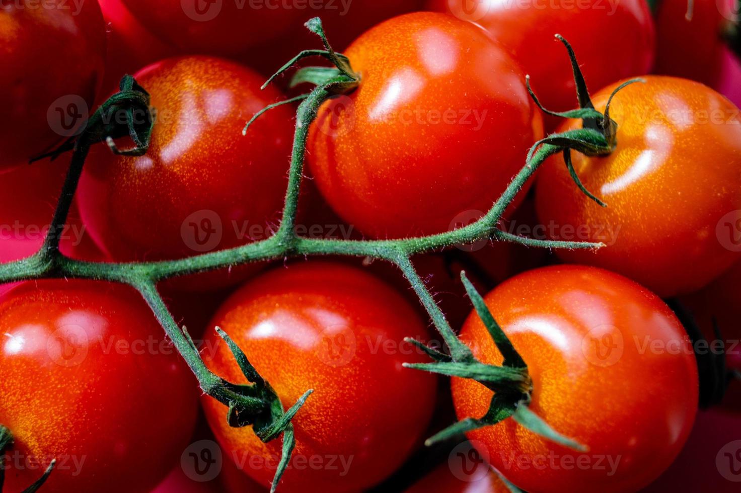 rote runde Tomaten Solanum lycopersicum foto