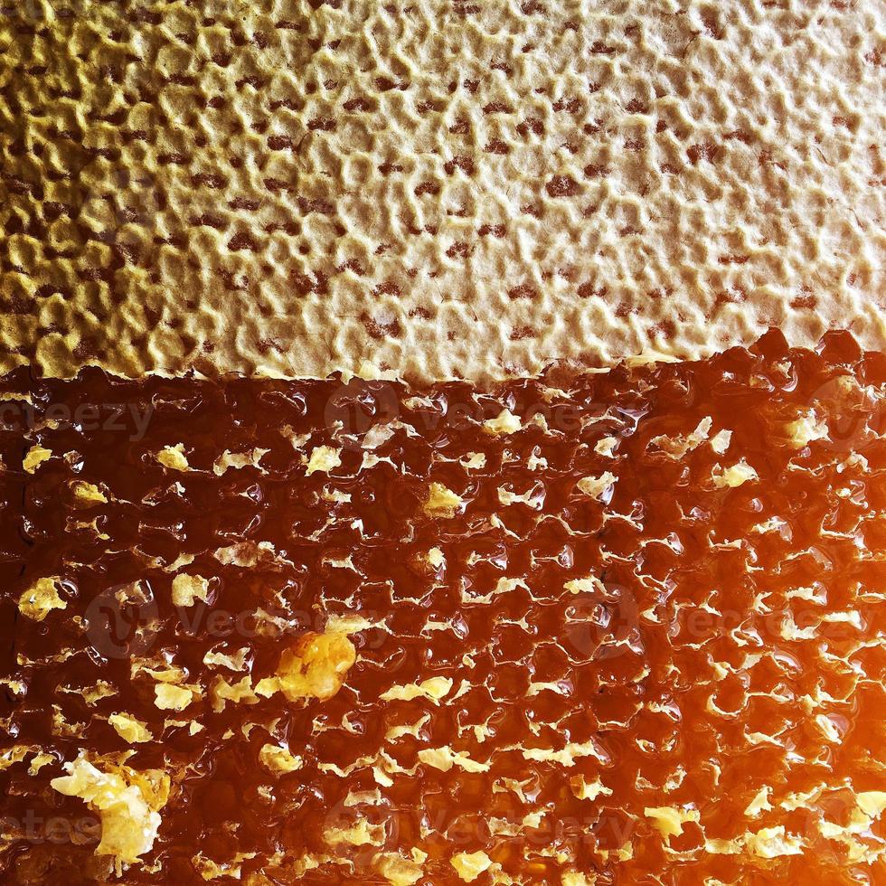 Tropfen Bienenhonig Tropfen aus sechseckigen Waben gefüllt foto