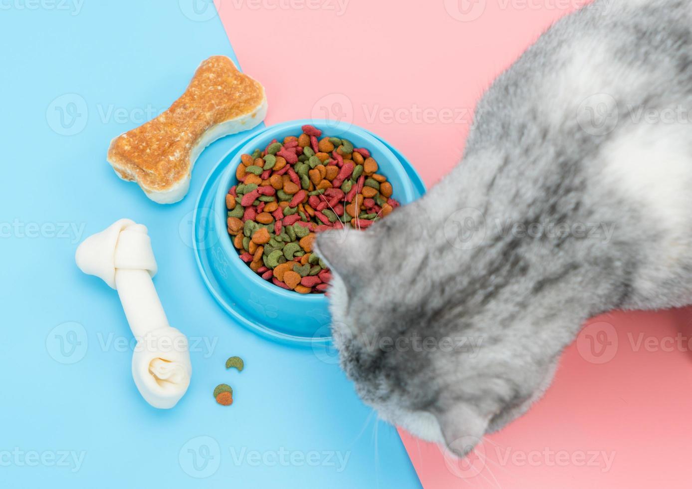 Tiernahrung und Snack, Knochen mit Katzenfresser foto