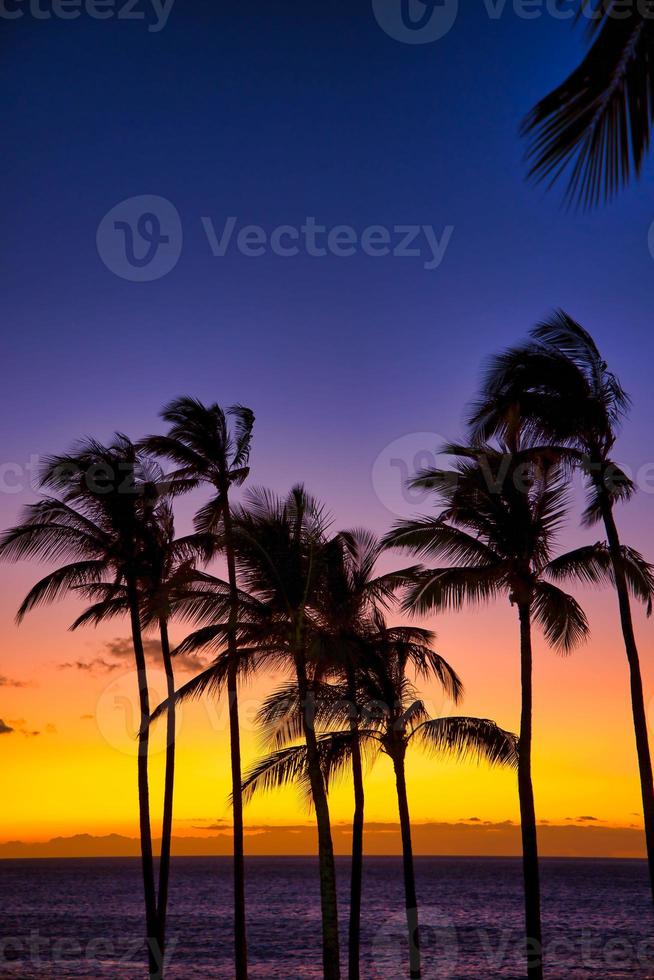 schöner sonnenuntergang auf der großen insel, kohala-küste, waikoloa, hawaii foto