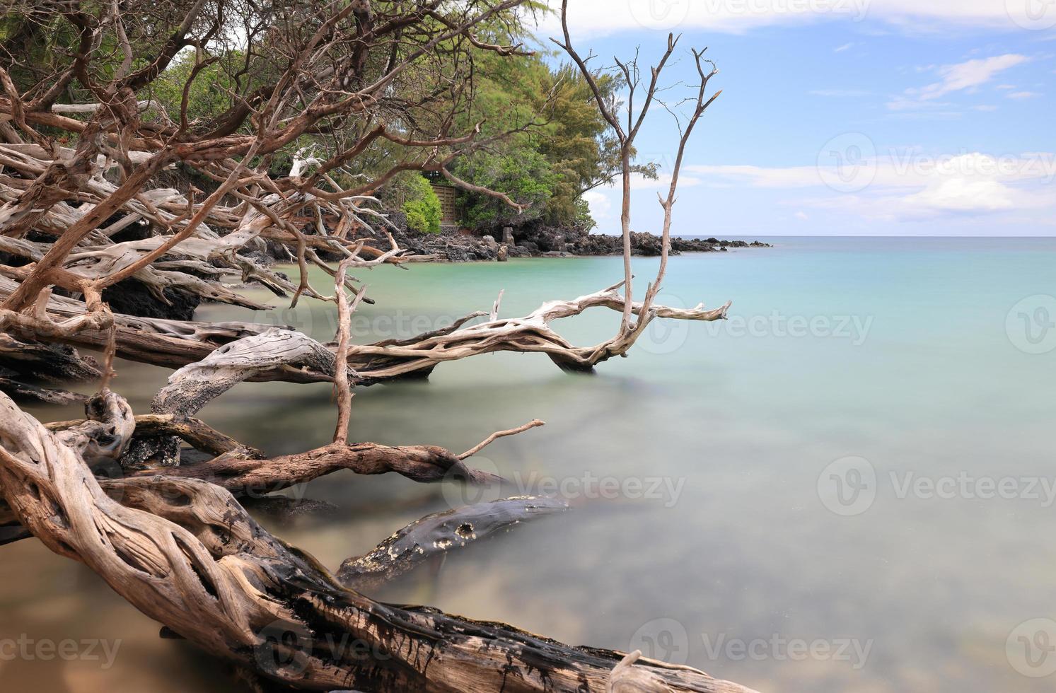 Hawaii Island, Strand 67 Treibholz und Meer foto